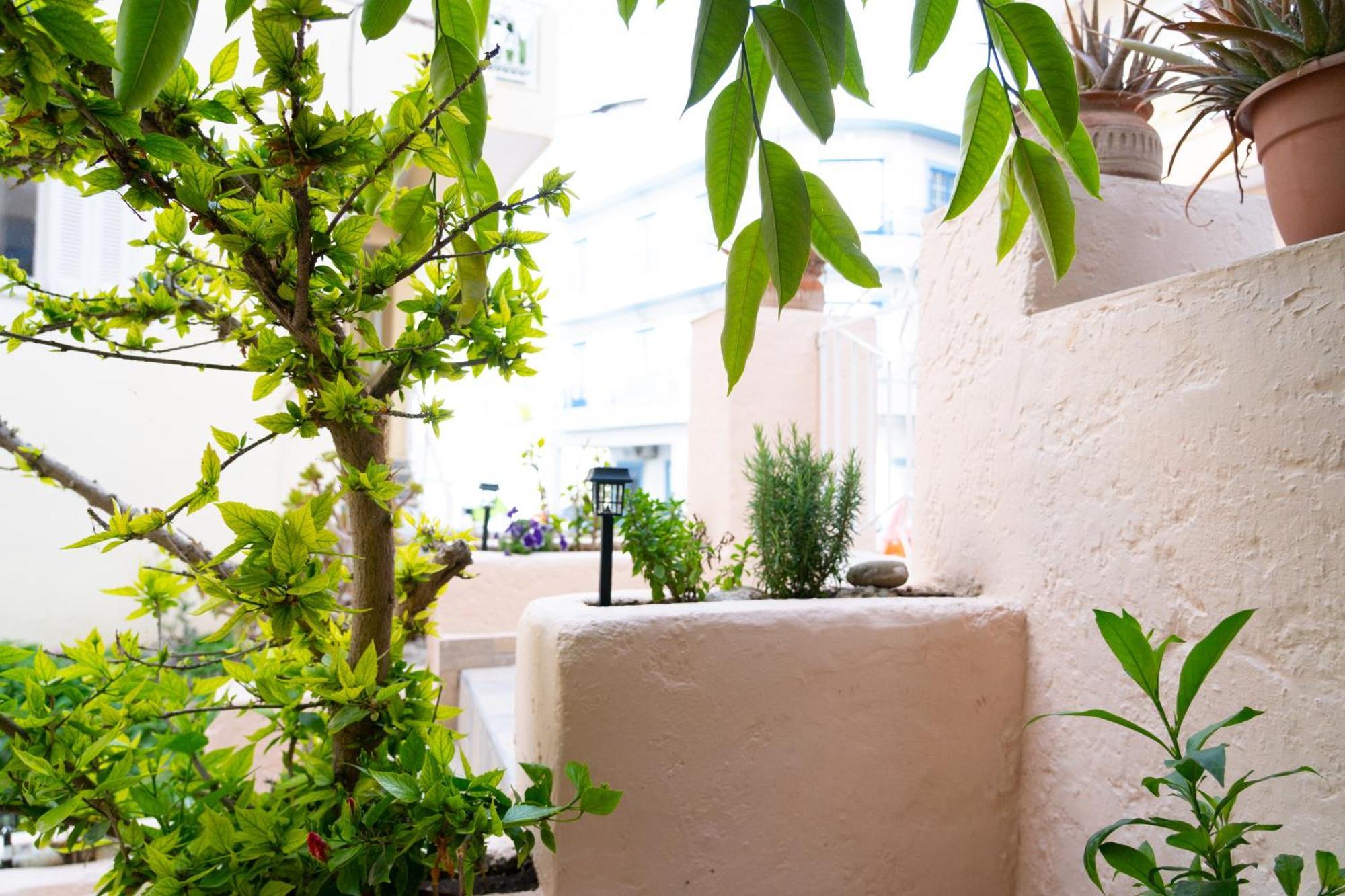 Apartment Pigadia Karpathos Town (Pigadia)